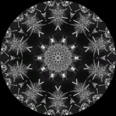 Black Acanthophracta Snowflake Vector SVG File