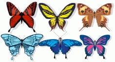 Butterflies Creatures Icons Collection Colorful Free Vector