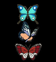 Butterflies Decor Elements Colorful Sketch Free Vector