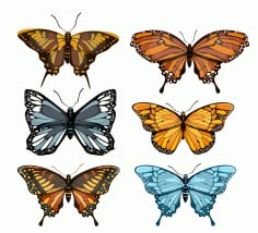 Butterflies Icons Collection Colorful Free Vector