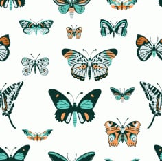 Butterflies Species Pattern Colorful Flat Decor Free Vector