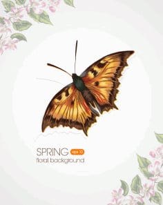 Butterfly Beautiful Background Design Free Vector