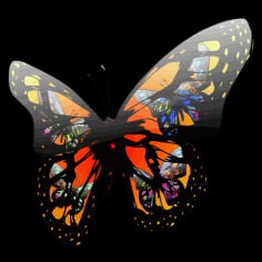 Butterfly Effect Vector SVG File