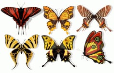 Butterfly Icons Multicolors Blend Decor Free Vector