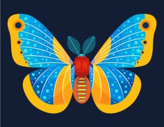 Butterfly Insect Icon Colorful Free Vector