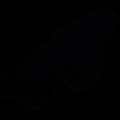 Butterfly Sketch Vector SVG File