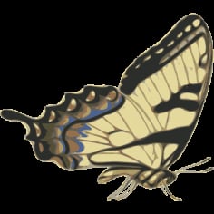 Butterfly Turnus Side View Vector SVG File