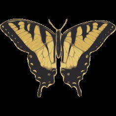 Butterfly Turnus Top View Vector SVG File
