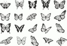 Butterfly Vector Art Collection Download Free Vector CDR File