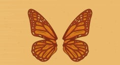 Butterfly Wings Illustration Free Vector