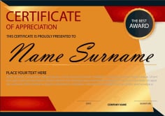 Certificate of Appreciation Sample Free Vector File