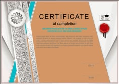 Certificate Of Completion Illustrator Vector File