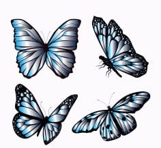 Colorful Artistic Butterfly Free Vector