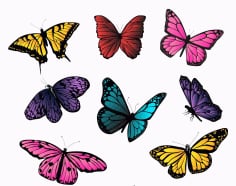 Colorful Butterfly Illustration Collection Free Vector