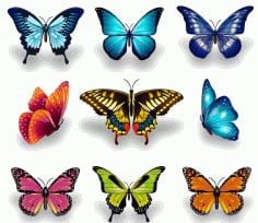 Colorful Vector Butterflies Set Free Vector