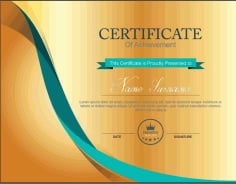 Company Certificate Abstract Template Vector File