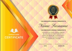 Company Performance Certificate nd Logo Appreciation Template Vector File