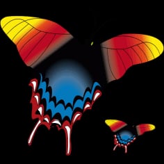 Double Butterfly Vector SVG File