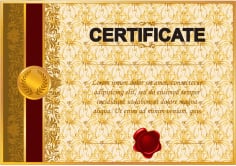 Excellent Certificate and Diploma Template Design