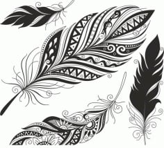 Feather Set Free CDR Vectors File