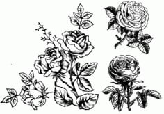 Handrawn Roses Sketch Tattoo Design CDR File