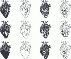 Heart Set Vector CDR Vectors File