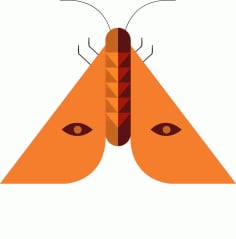 Insect Background Butterfly Icon Geometrical Triangle Design Free Vector