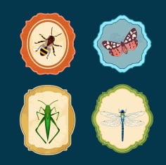Insect Icons Collection Bee Butterfly Grasshoper Dragonfly Free Vector