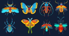Insects Species Icons Black White Free Vector