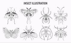 Insects Species Icons Black White Handdrawn Sketch Free Vector