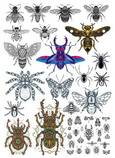 Insects T Shirt Printing Shirt Sticker Vector CDR File