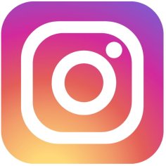 Instagram Logo Vector Art Social Media Logo Icon Vector File