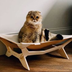 Laser Cut Wood Cat Bed Layout Animal Furniture Design CDR File