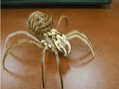 Laser Cut Wooden 3D Puzzle Spider Template Free CDR File