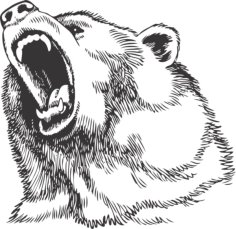 Line Art Angry Bear Face Silhouette Vector Art File