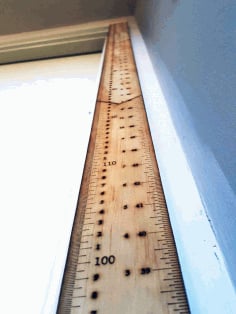 Measuring Scale Wooden Model DXF File