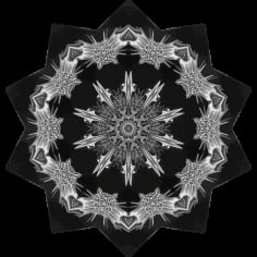 Monochrome Acanthophracta Snowflake Vector SVG File