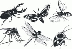 Mosqitue Insect Sticker CDR File