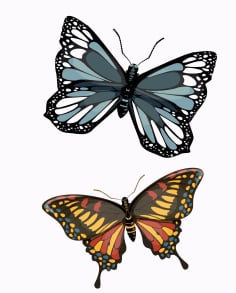 Nature Butterfly Icons Dark Colorful Modern Design Free Vector