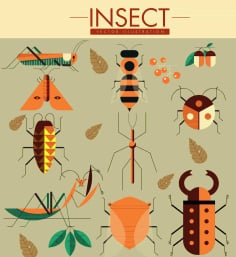 Nature Design Elements Grasshoppers Bugs Butterflies Icons Free Vector