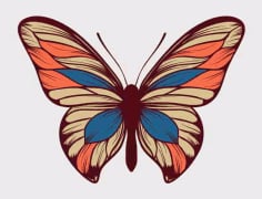 Original Design Butterfly Material Free Vector