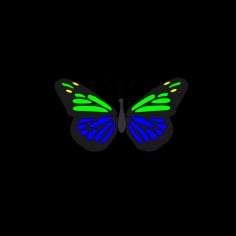 Plain Butterfly Vector SVG File