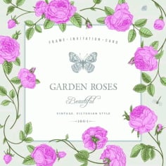 Rose with Butterfly Vintage Cards Vector Graphic