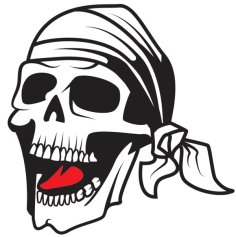 Royalty Free Pirate Skull Vector File