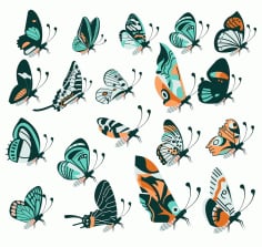 Set of Butterflies Creatures Icons Collection Colorful Flat Design Free Vector