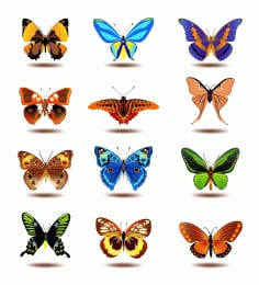 Set of Butterfly Silhouette Vector File free Download