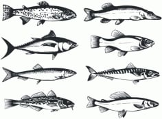 Set of Fishes Vector Art CDR File