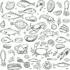 Set of Hand Drawn Fish Sticker CDR File