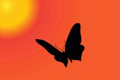 Sunset Butterfly Silhouette Free Vector