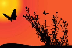 Sunset with Butterfly Silhouette Free Vector